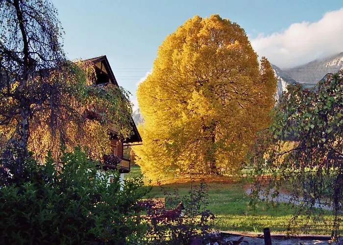 Unerzhuberhof Apartment