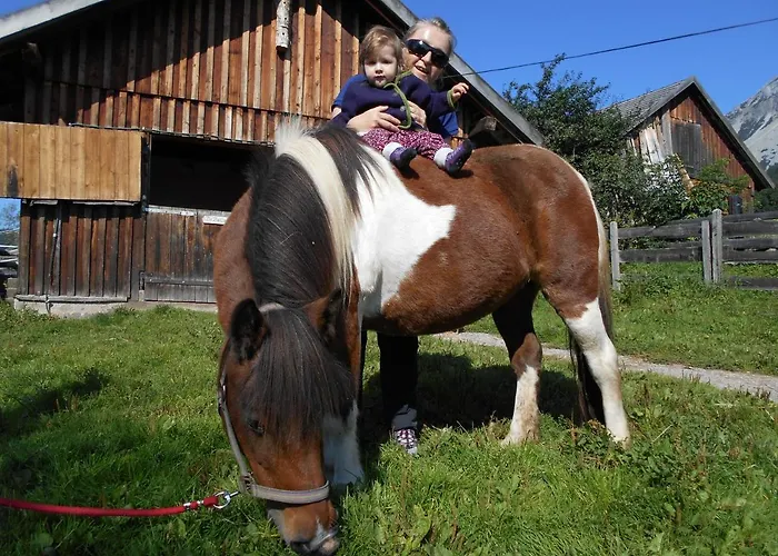 Apartment Unerzhuberhof